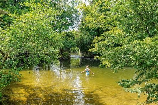 Is It Safe to Swim in the River Today? Water Quality Guide
