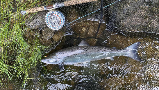 River Spey in the Scottish Highlands with fast-flowing water ideal for salmon fishing packages
